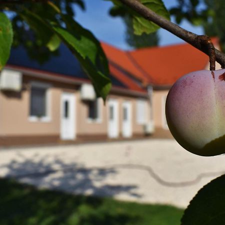 Napfeny Apartman Makó Dış mekan fotoğraf