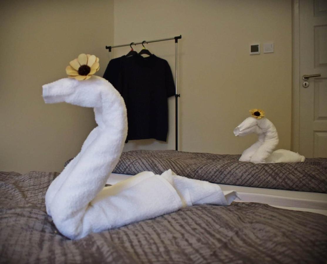 Napfeny Apartman Makó Dış mekan fotoğraf